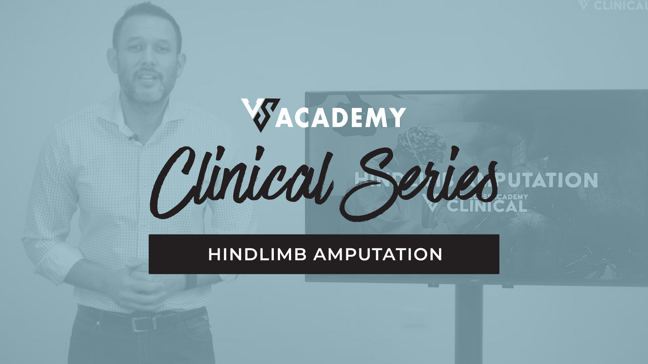 HindLimb Amputation Vet Course