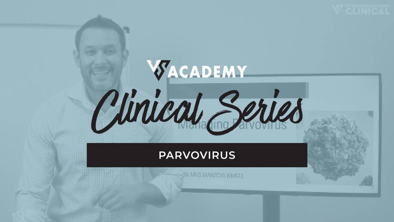 Parvovirus Vet Training Course