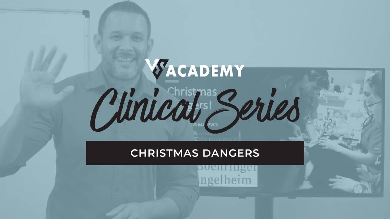 Christmas Dangers vet course