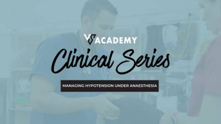 Managing Hypotension Under Anaesthesia Online Vet Course