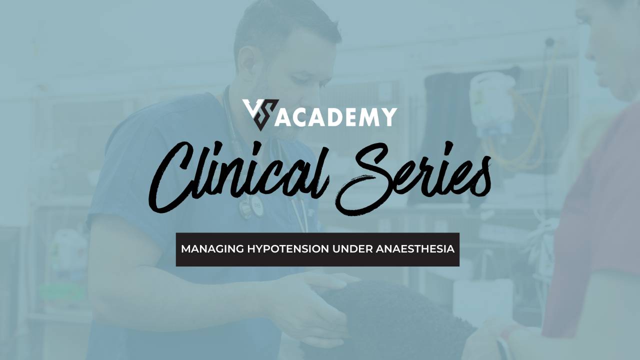 Managing Hypotension Under Anaesthesia Online Vet Course