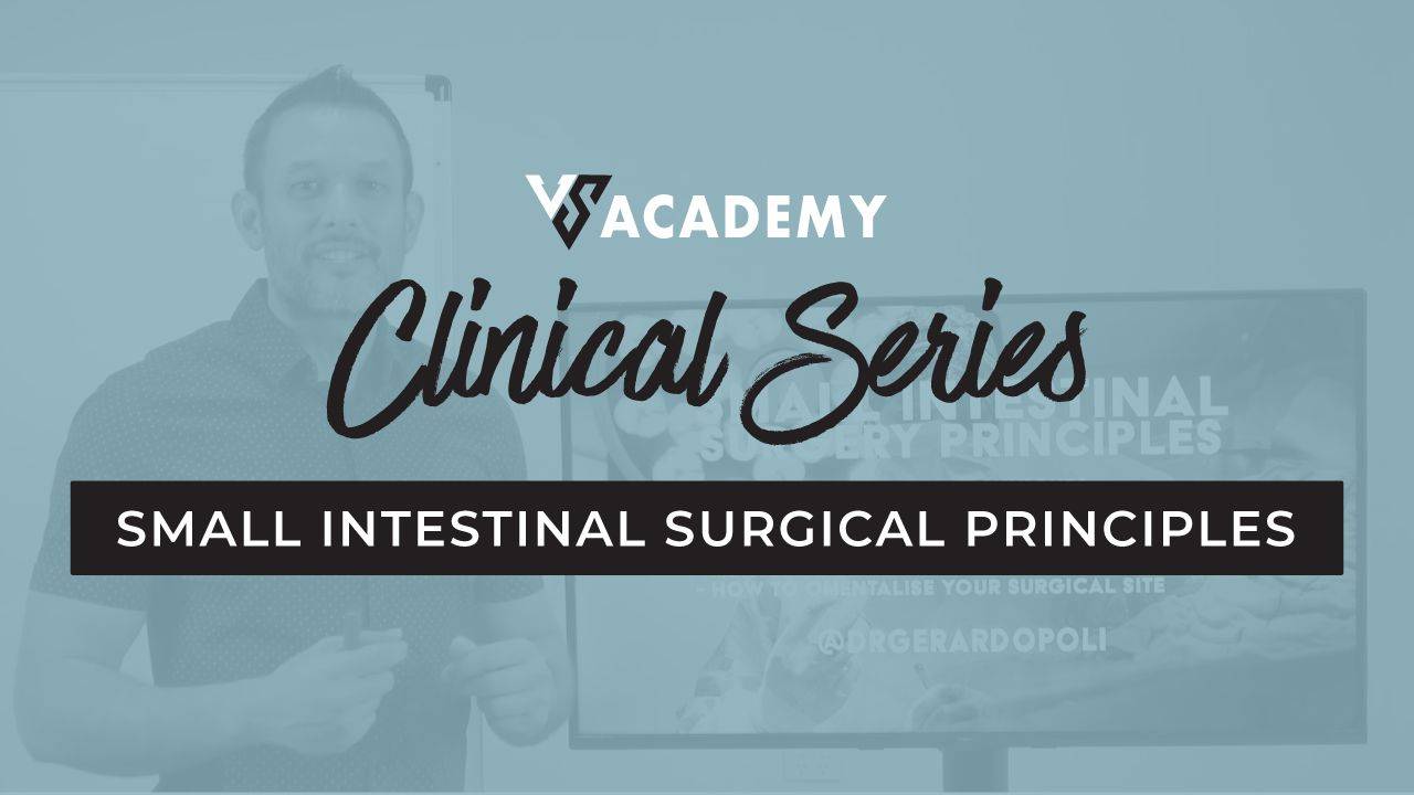 Small Intestinal Surgical Principles for vets